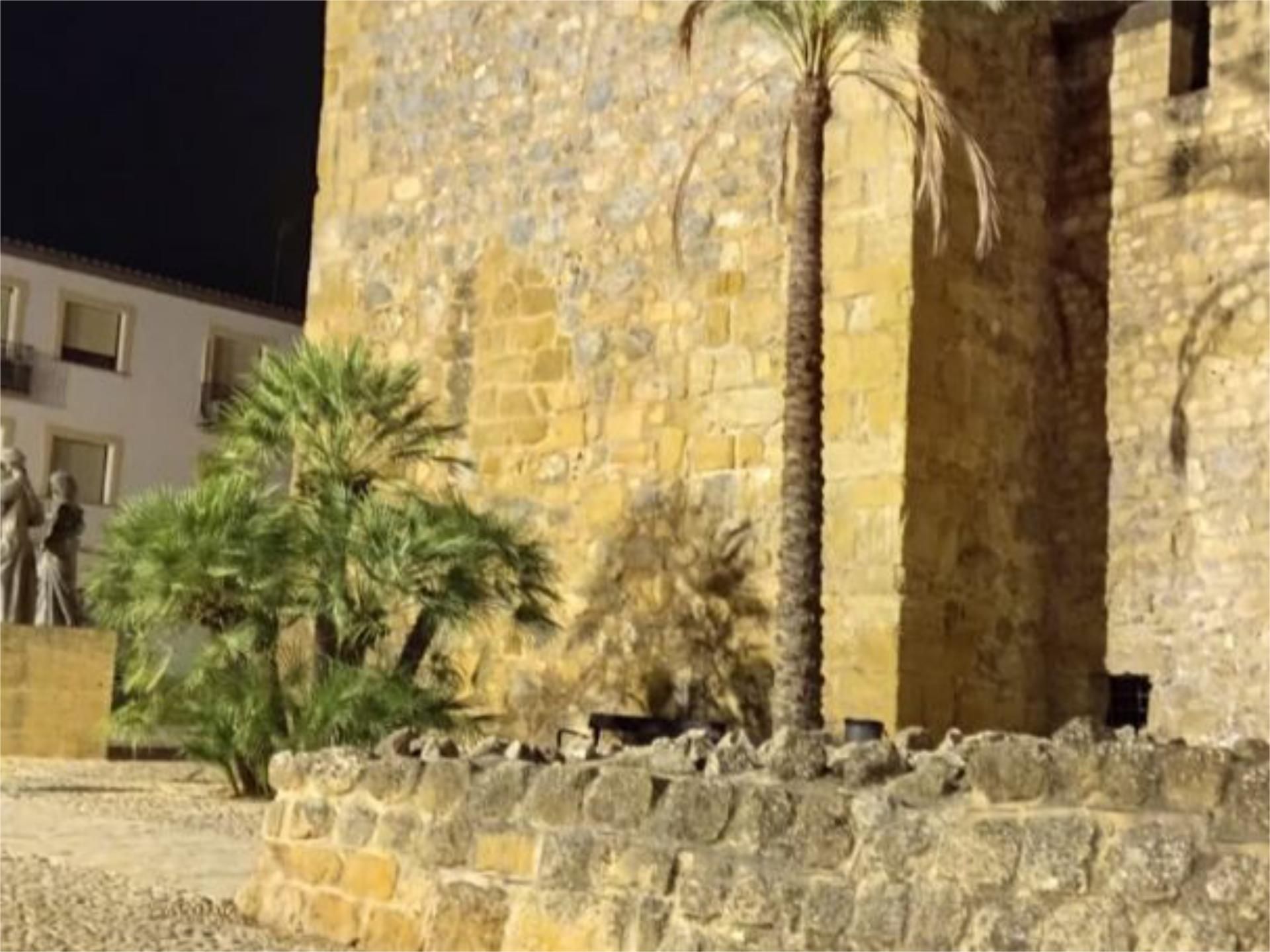 Exterior view of Flat to rent in Antequera  with Heating, Parquet flooring and Furnished