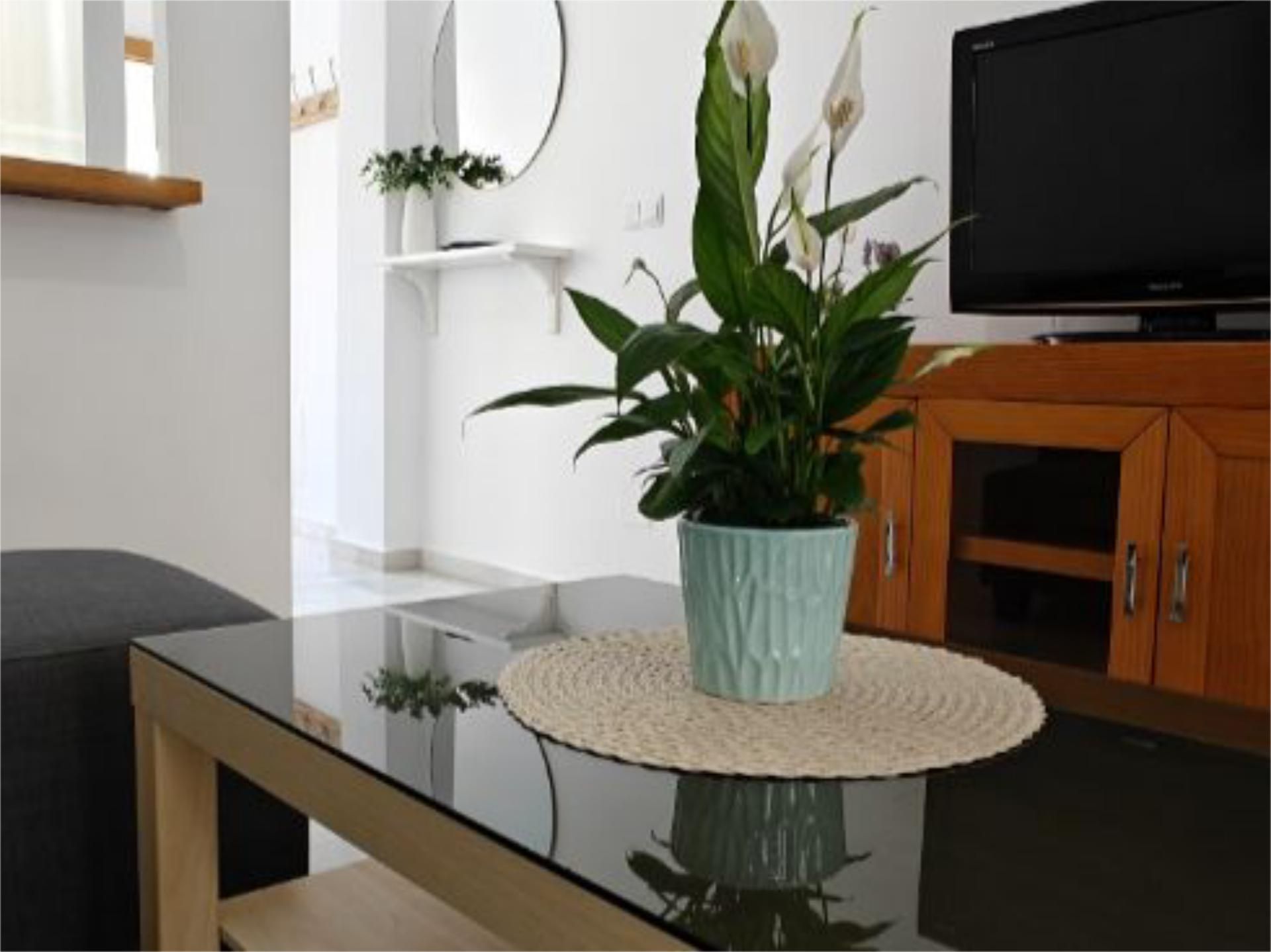 Garden of Flat to rent in Torrox  with Air Conditioner, Heating and Terrace