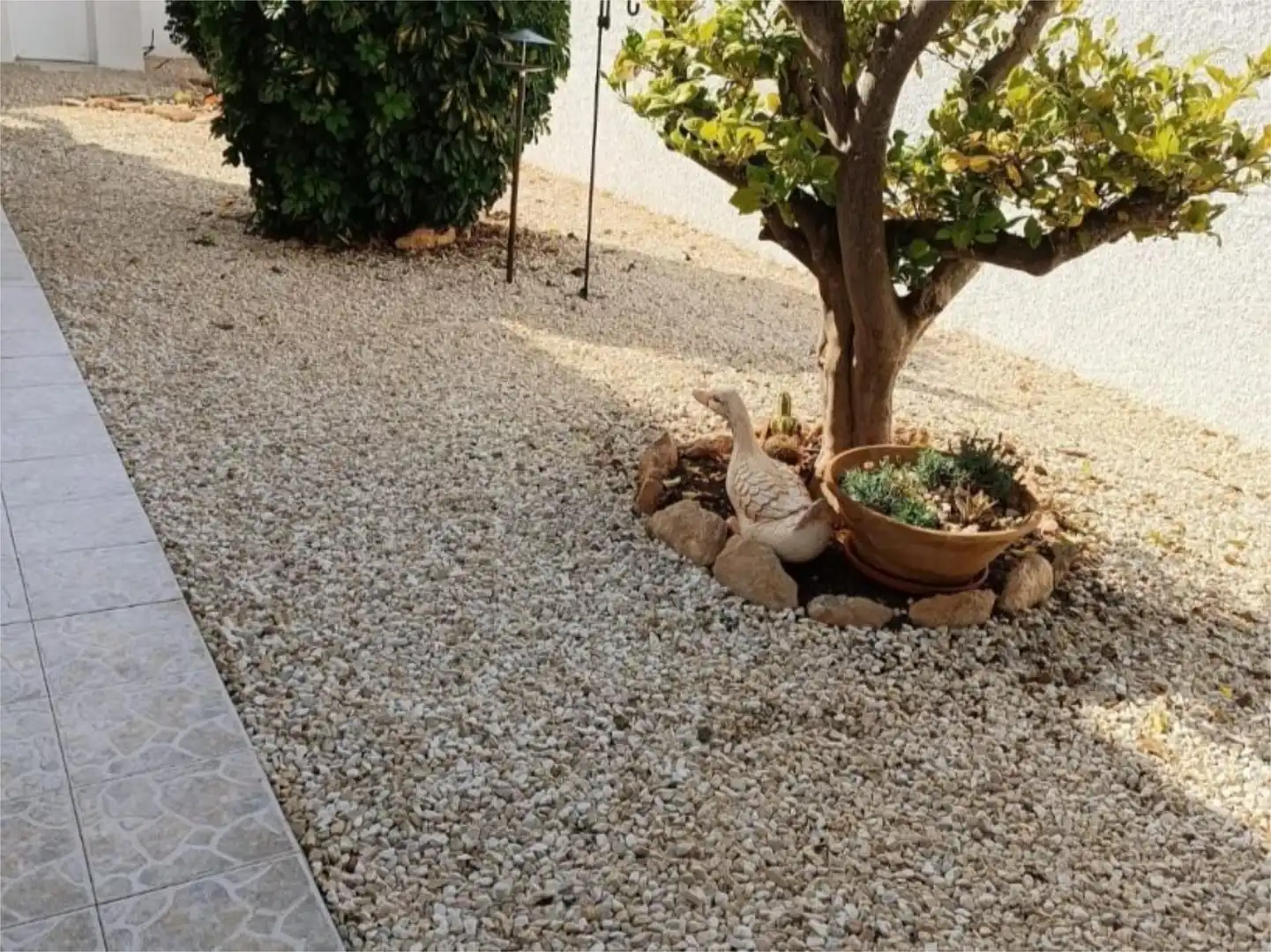 Jardín de Piso en venta en Torrevieja con Jardín privado, Terraza y Piscina