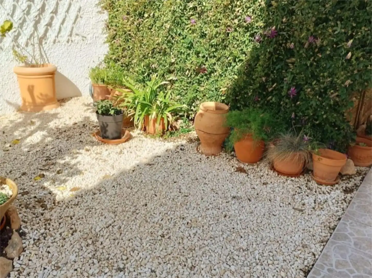 Jardín de Piso en venta en Torrevieja con Jardín privado, Terraza y Piscina
