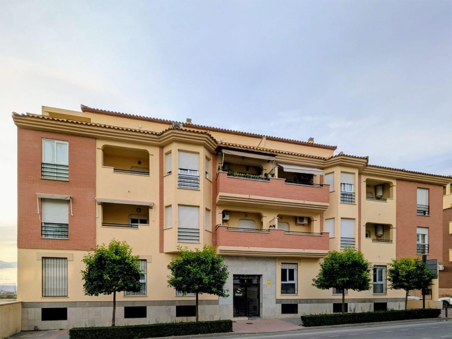 Flat for sale in Avenida de Granada, 8, Pulianas