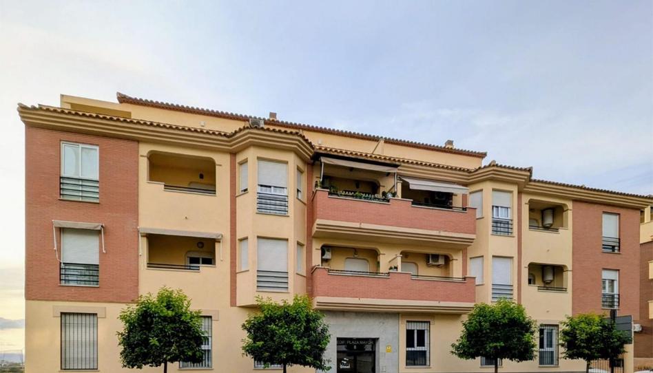 Pis en venda a Avenida de Granada, 8, Pulianas, Granada - imatge 1 Foto 1 de Pis en venda a Avenida de Granada, 8, Pulianas, Granada