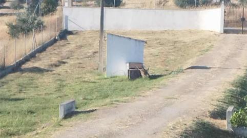 Photo 2 of Planta baja for sale in Avenida Antonio Nevado González, 10, La Estación, Badajoz