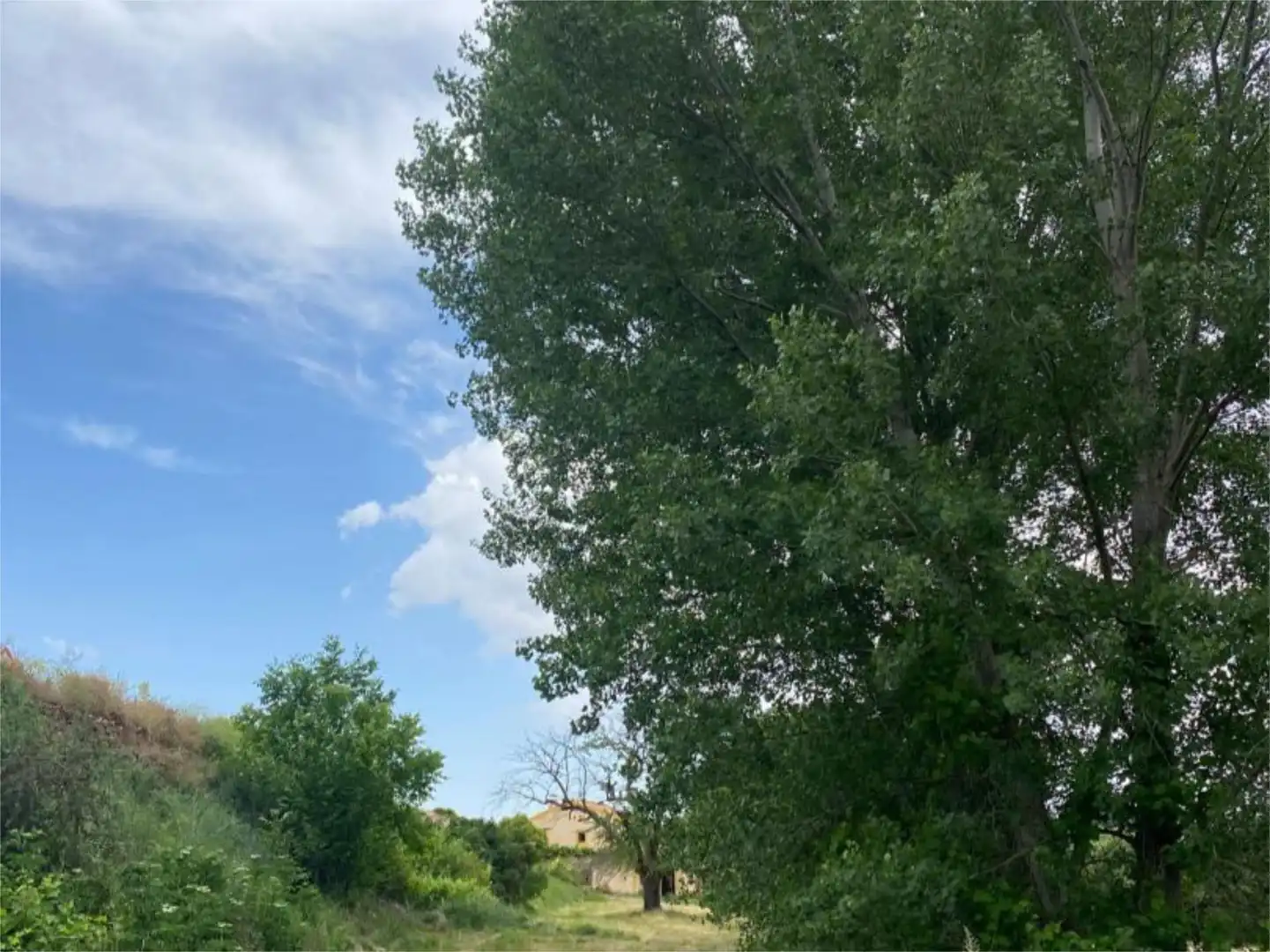 Country homes for sale in Calle Carretera, 19, Fresno de Caracena Country homes for sale in Fresno de Caracena with Heating, Private garden and Furnished
