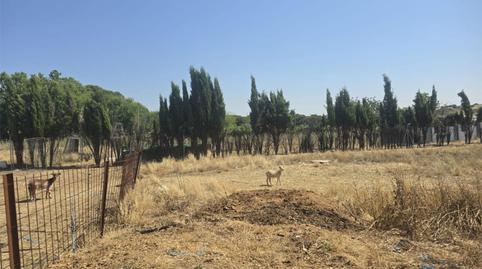 Finca rústica en venta en Carril Toledano, 221, La Dehesa - El Pinar, Madrid - imagen 5 Foto 5 de Finca rústica en venta en Carril Toledano, 221, La Dehesa - El Pinar, Madrid