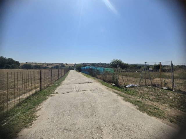 Finca rústica en Venta en Carril Toledano, 221 en La Dehesa - El Pinar