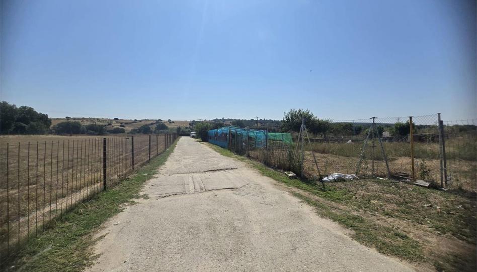 Finca rústica en venta en Carril Toledano, 221, La Dehesa - El Pinar, Madrid - imagen 1 Foto 1 de Finca rústica en venta en Carril Toledano, 221, La Dehesa - El Pinar, Madrid