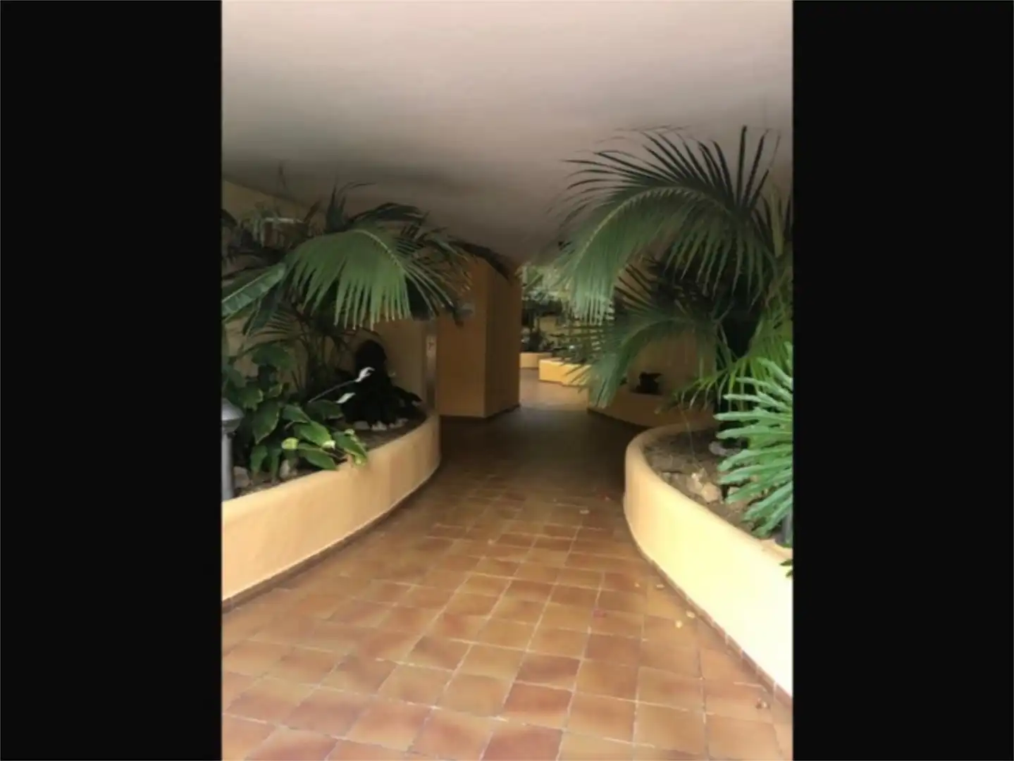 Apartamento de alquiler en Calle Caleta, 3, Los Cristianos Apartamento de alquiler en Arona con Terraza, Piscina y Amueblado