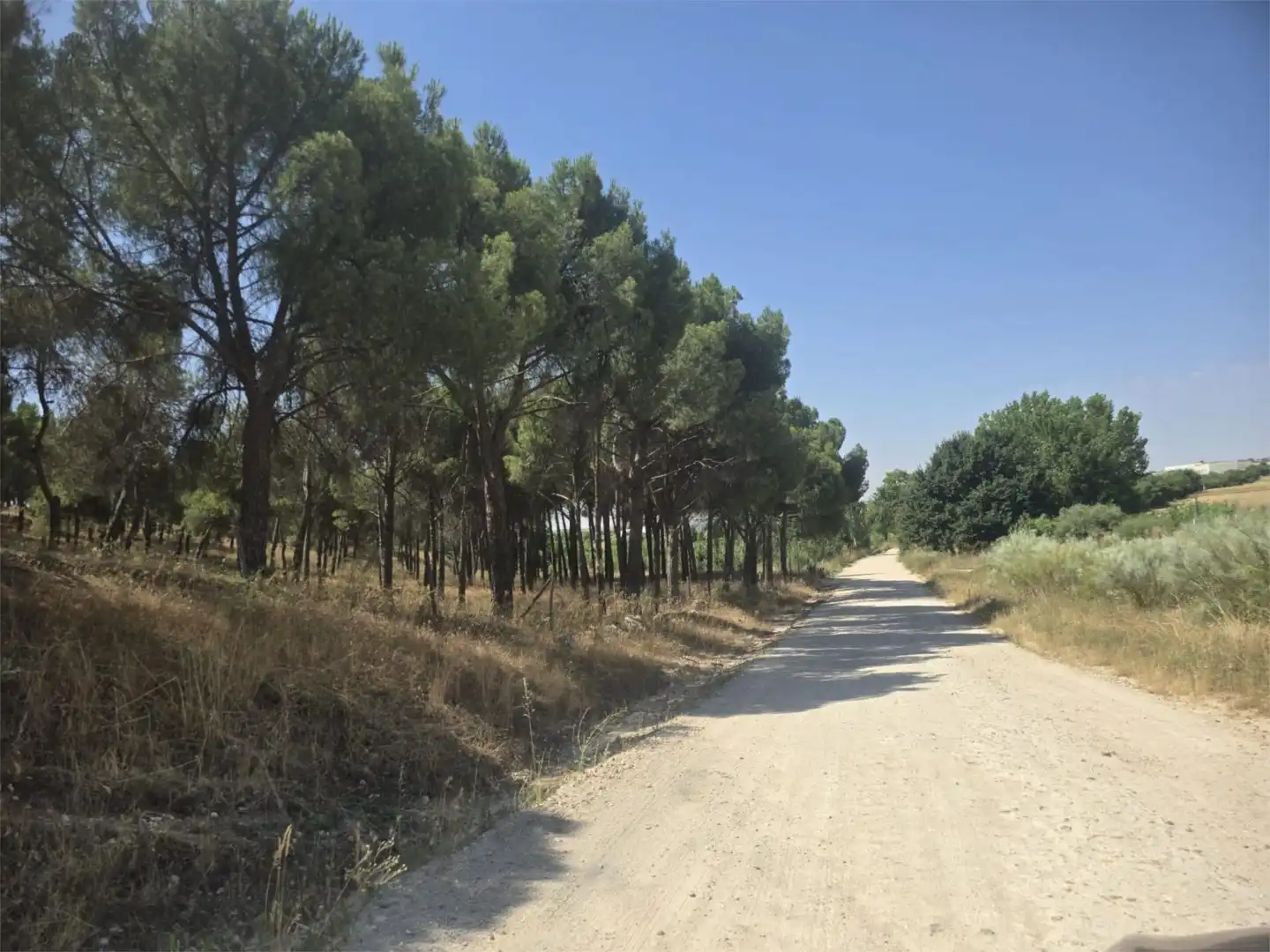 Finca rústica en venta en Avenida de Madrid, 8, El Álamo Vista exterior de Finca rústica en venta en El Álamo con Jardín privado, Terraza y Trastero