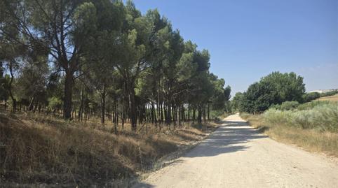 Country house for sale in Avenida de Madrid, 8, El Álamo, Madrid - image 4 Photo 4 of Country house for sale in Avenida de Madrid, 8, El Álamo, Madrid