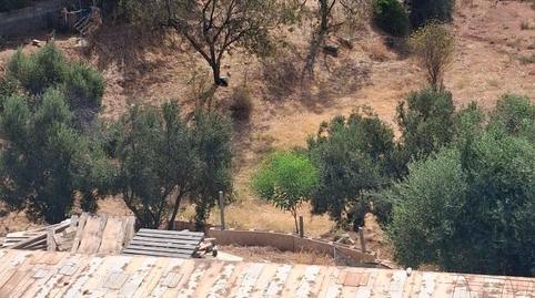 Photo 3 of House or chalet for sale in A-355, 45, Torrecilla - La Cañada, Málaga