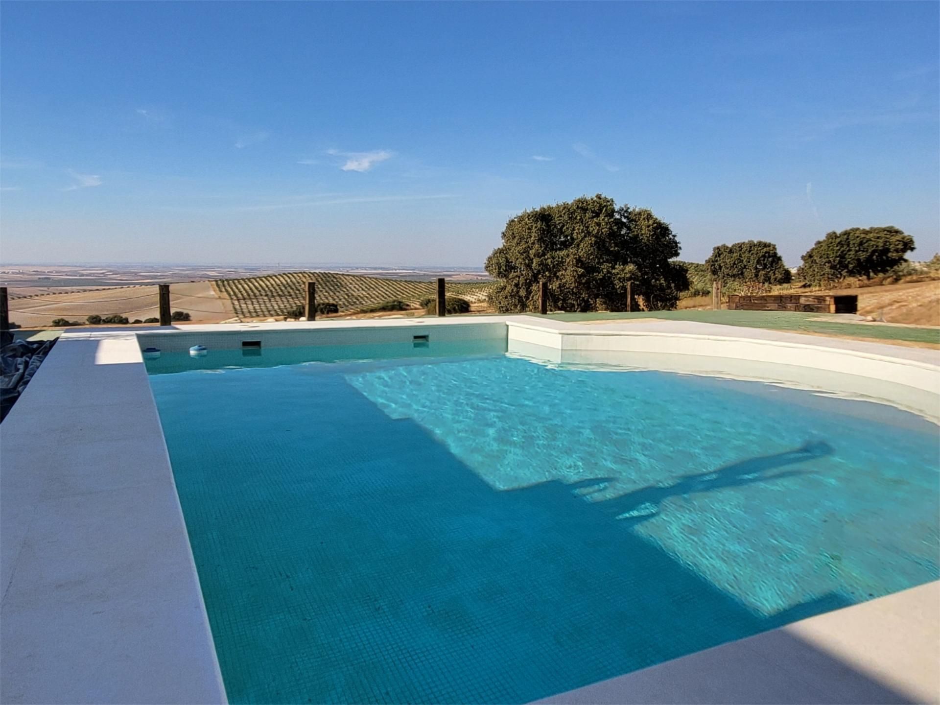 Swimming pool of Country house for sale in Montequinto  with Air Conditioner, Heating and Private garden