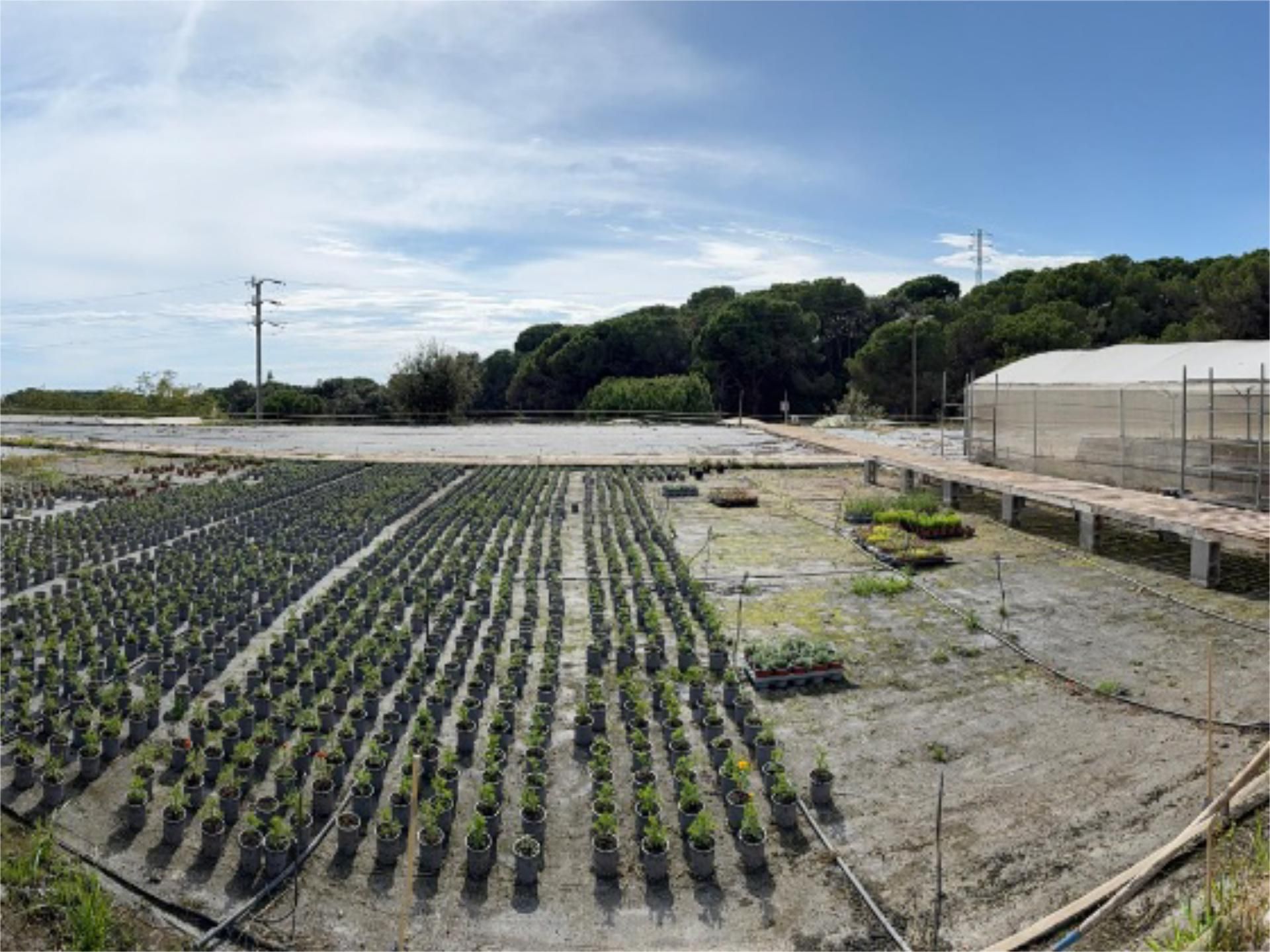 Garden of Flat for sale in Canet de Mar