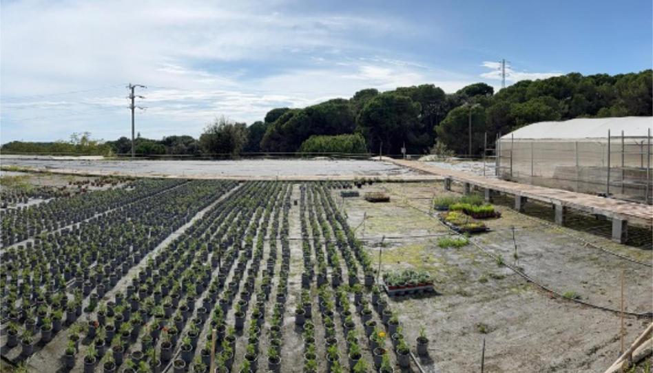 Wohnung zum Verkauf in Carrer Tarragona, 23, Canet de Mar, Barcelona - Bild 1 Foto 1 von Wohnung zum Verkauf in Carrer Tarragona, 23, Canet de Mar, Barcelona