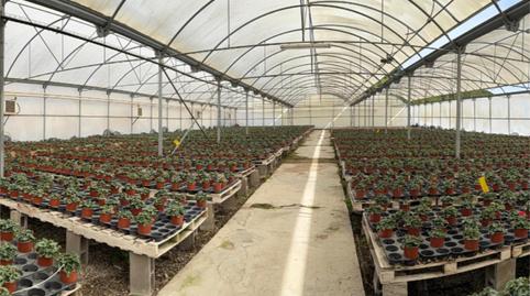 Wohnung zum Verkauf in Carrer Tarragona, 23, Canet de Mar, Barcelona - Bild 2 Foto 2 von Wohnung zum Verkauf in Carrer Tarragona, 23, Canet de Mar, Barcelona