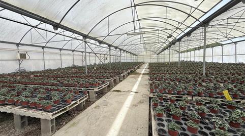 Wohnung zum Verkauf in Carrer Tarragona, 23, Canet de Mar, Barcelona - Bild 3 Foto 3 von Wohnung zum Verkauf in Carrer Tarragona, 23, Canet de Mar, Barcelona