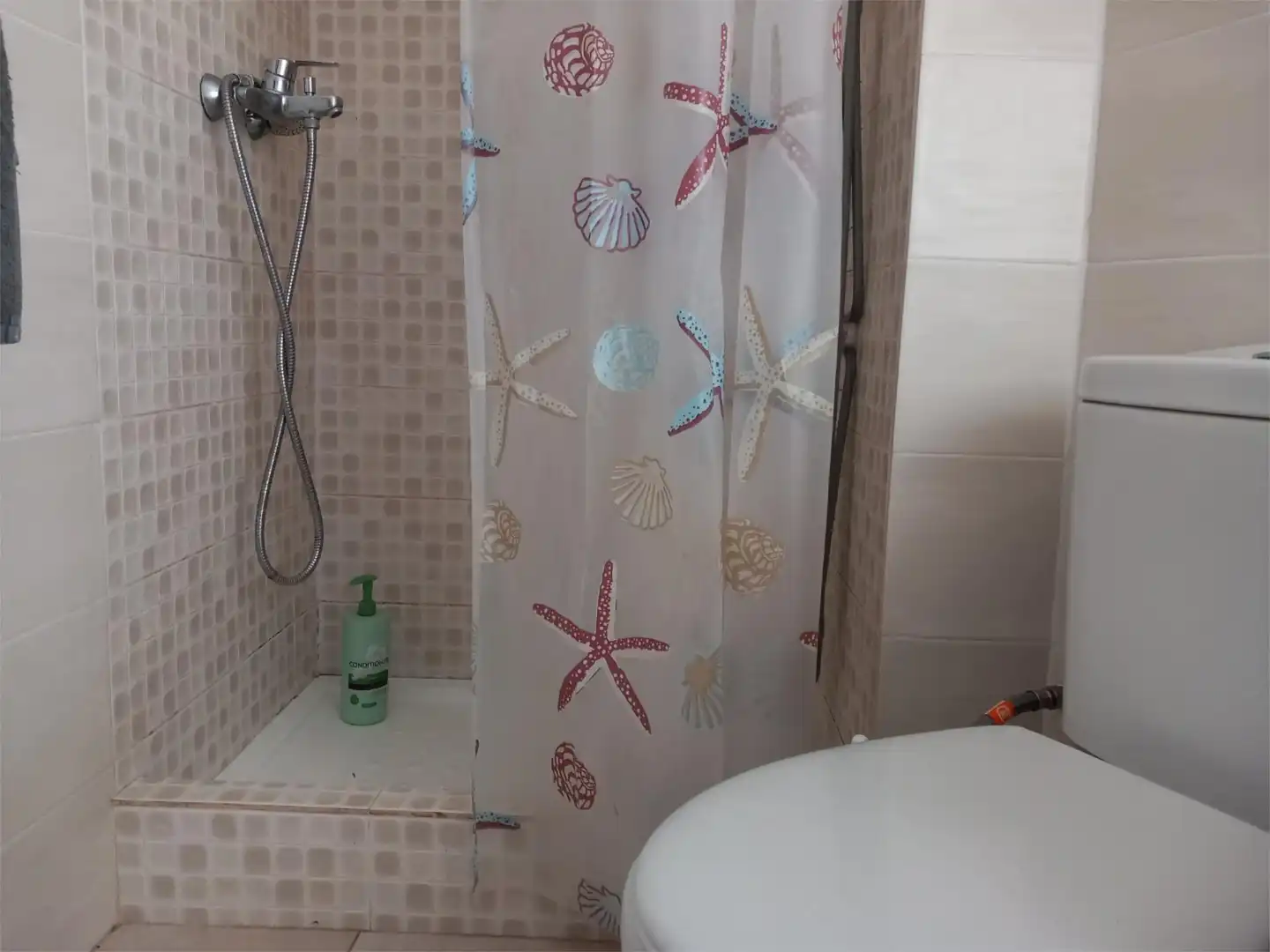 Apartamento de alquiler en Carrer Rei Ferran II, 23, Santa Ponça Apartamento de alquiler en Carrer Rei Ferran II, 23, Santa Ponça