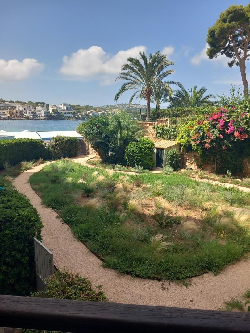 Apartment to rent in Carrer de Ramon de Montcada, 10, Costa de la Calma Garden of Apartment to rent in Calvià  with Terrace, Furnished and Community parking