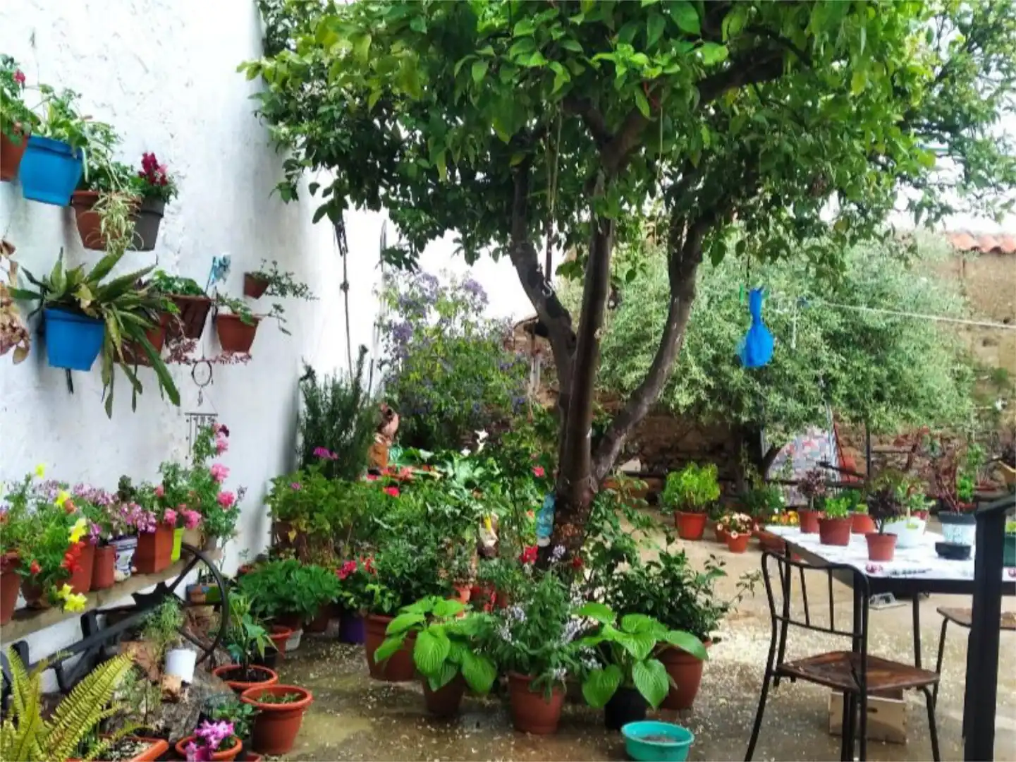 Garden of Ground floor for sale in Puebla del Prior  with Private garden