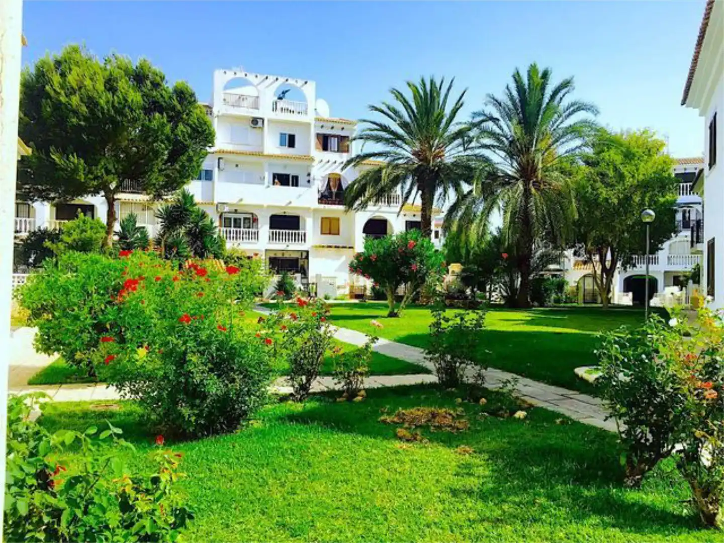 Dúplex en venta en Urbanización Calas Blancas, 1, Nueva Torrevieja Jardín de Dúplex en venta en Torrevieja con Terraza, Piscina y Amueblado