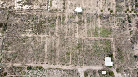 Finca rústica en venda a Calle Alegría de la Huerta, 449, Javalí Nuevo, Murcia - imatge 4 Foto 4 de Finca rústica en venda a Calle Alegría de la Huerta, 449, Javalí Nuevo, Murcia