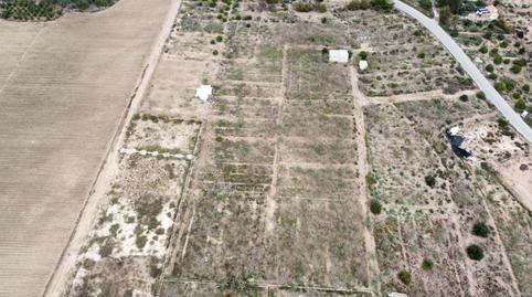 Finca rústica en venda a Calle Alegría de la Huerta, 449, Javalí Nuevo, Murcia - imatge 5 Foto 5 de Finca rústica en venda a Calle Alegría de la Huerta, 449, Javalí Nuevo, Murcia