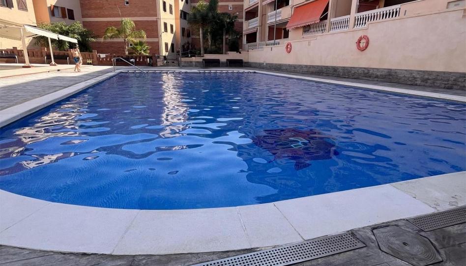 Apartament de lloguer a Carrer de la Punta del Cavall, 23, Pla de Maset - Cap de Salou, Tarragona - imatge 1 Foto 1 de Apartament de lloguer a Carrer de la Punta del Cavall, 23, Pla de Maset - Cap de Salou, Tarragona