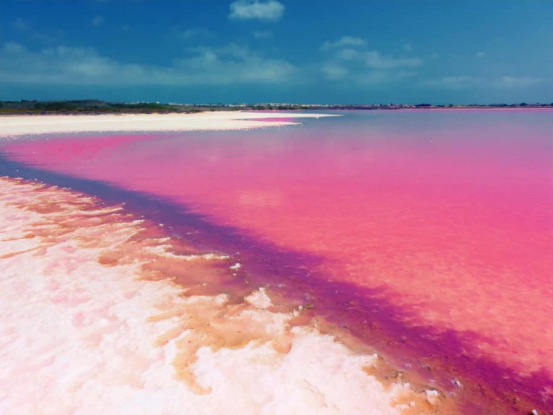 Exterior view of Flat for sale in Torrevieja  with Swimming Pool, Furnished and Balcony