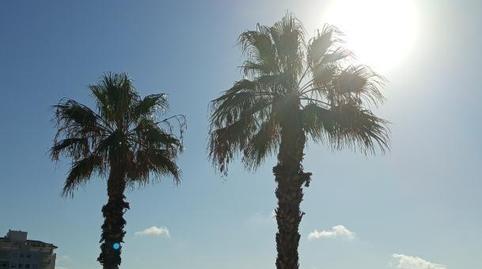 Foto 3 de Pis de lloguer a Gran Vía de la Manga, 5, Zona Galúa - Calnegre, La Manga del Mar Menor