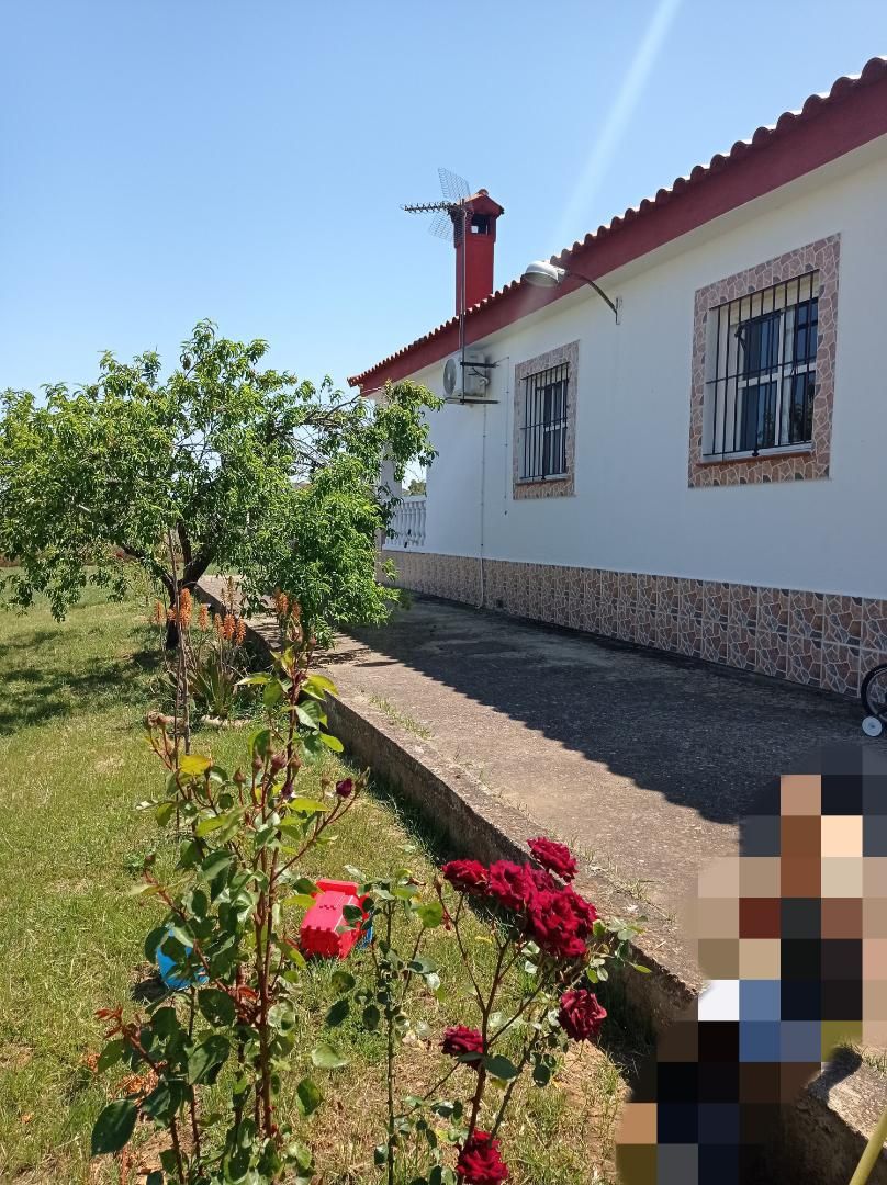 House or chalet for sale in Carretera Valverde de Mérida, 11, Este Exterior view of House or chalet for sale in Mérida  with Air Conditioner, Terrace and Swimming Pool