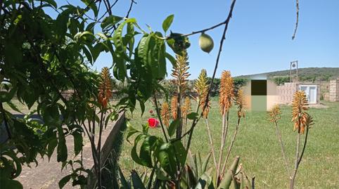 Photo 2 of House or chalet for sale in Carretera Valverde de Mérida, 11, Este, Badajoz