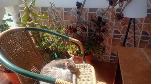 Photo 5 of House or chalet for sale in Carretera Valverde de Mérida, 11, Este, Badajoz