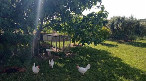 Photo 4 of House or chalet for sale in Carretera Valverde de Mérida, 11, Este, Badajoz