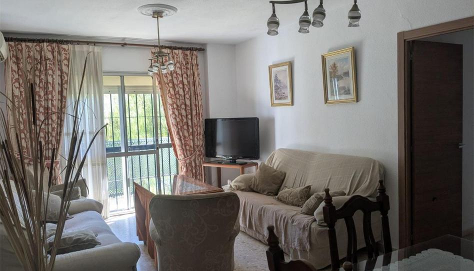 Flat for sale in Calle Fedra, 1, El Torrejón - El Cerezo, Sevilla - image 1 Photo 1 of Flat for sale in Calle Fedra, 1, El Torrejón - El Cerezo, Sevilla