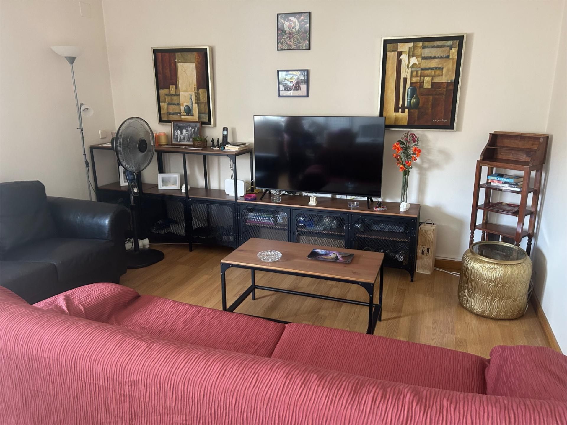 Living room of Flat to share in  Madrid Capital  with Air Conditioner, Heating and Private garden