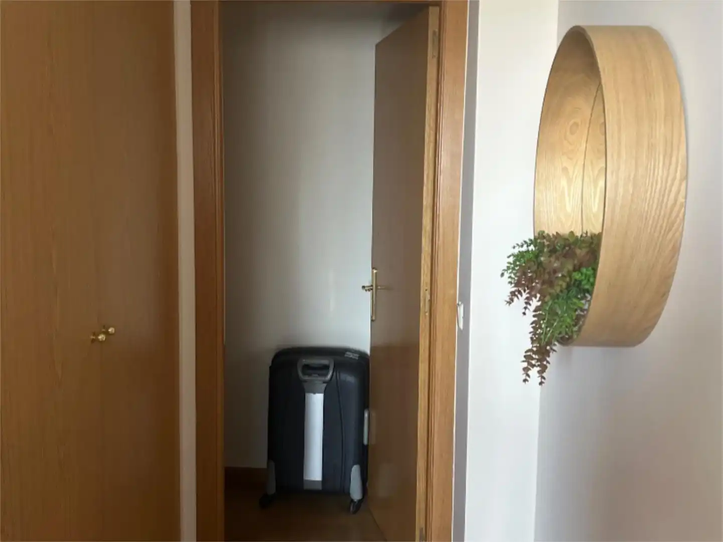 Flat for share in Madrid  with Air Conditioner, Heating and Private garden
