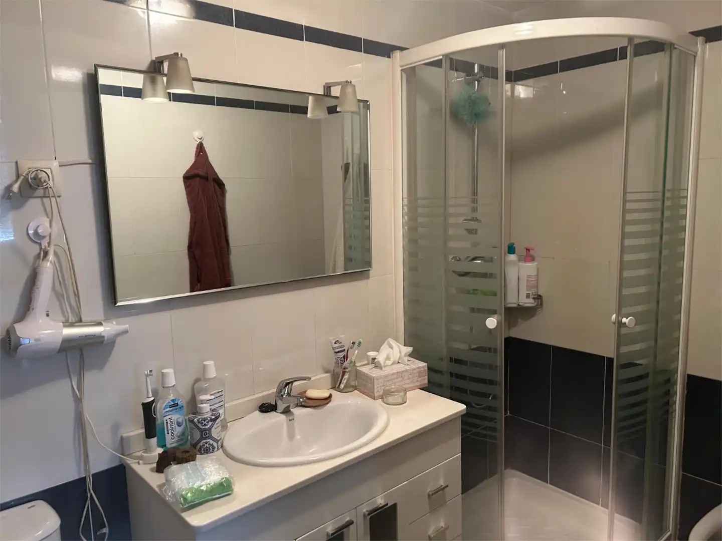 Bathroom of Flat for share in Madrid  with Air Conditioner, Heating and Private garden