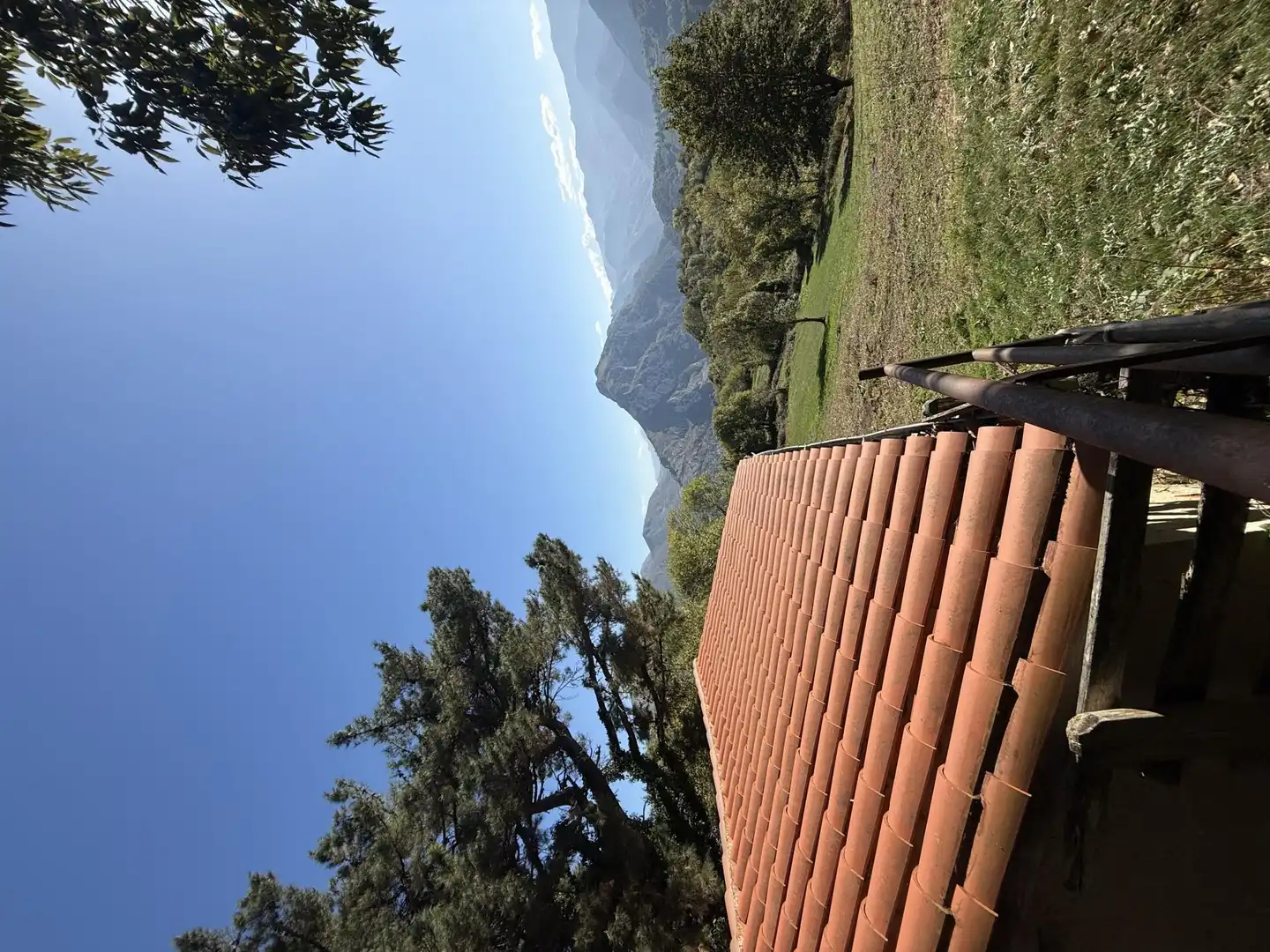 Jardín de Finca rústica en venta en Proaza