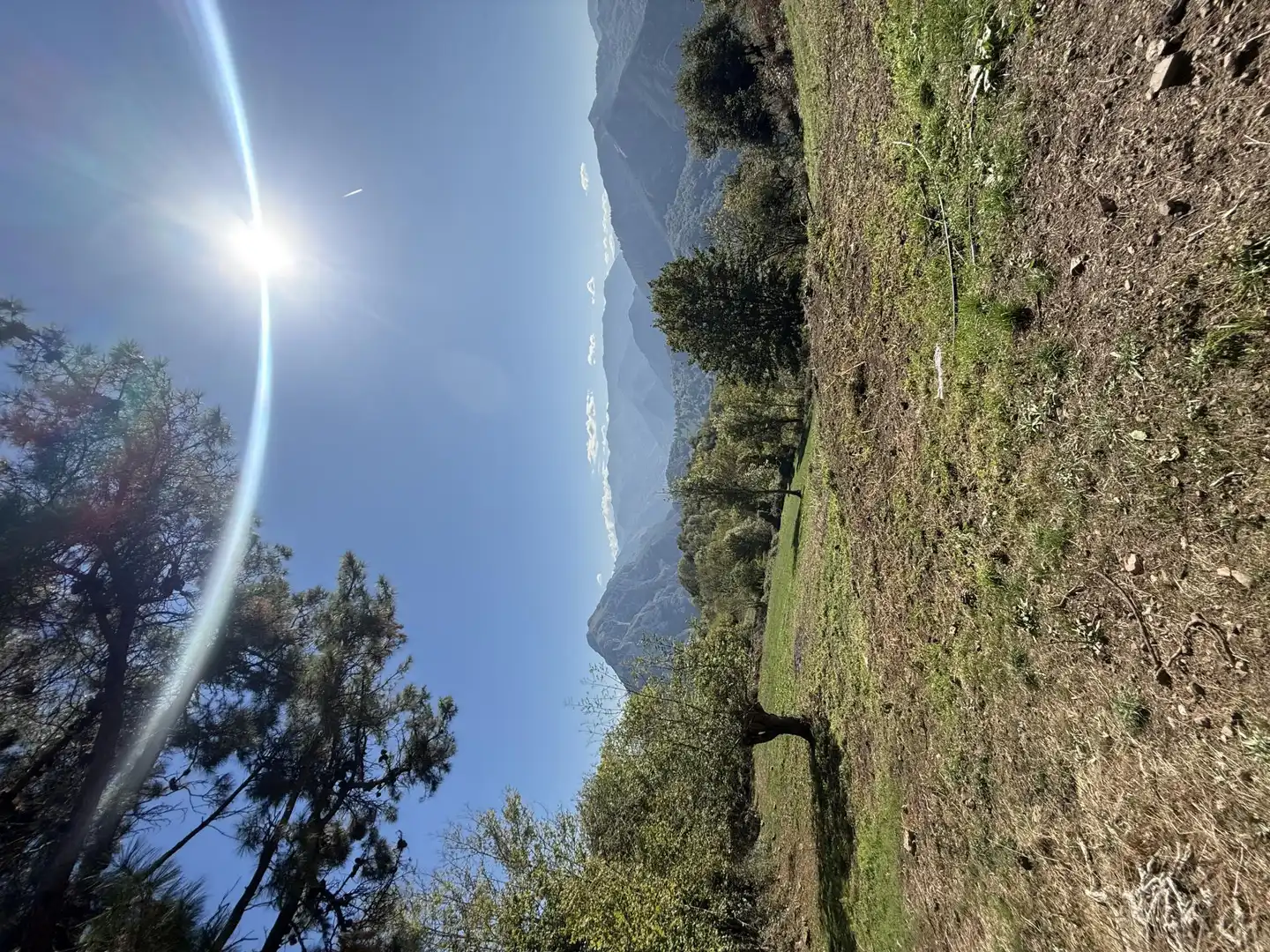 Finca rústica en venta en Proaza
