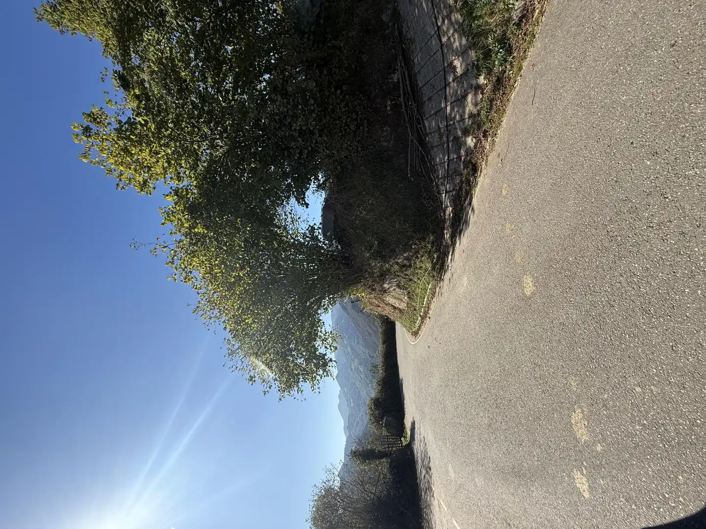 Vista exterior de Finca rústica en venta en Proaza