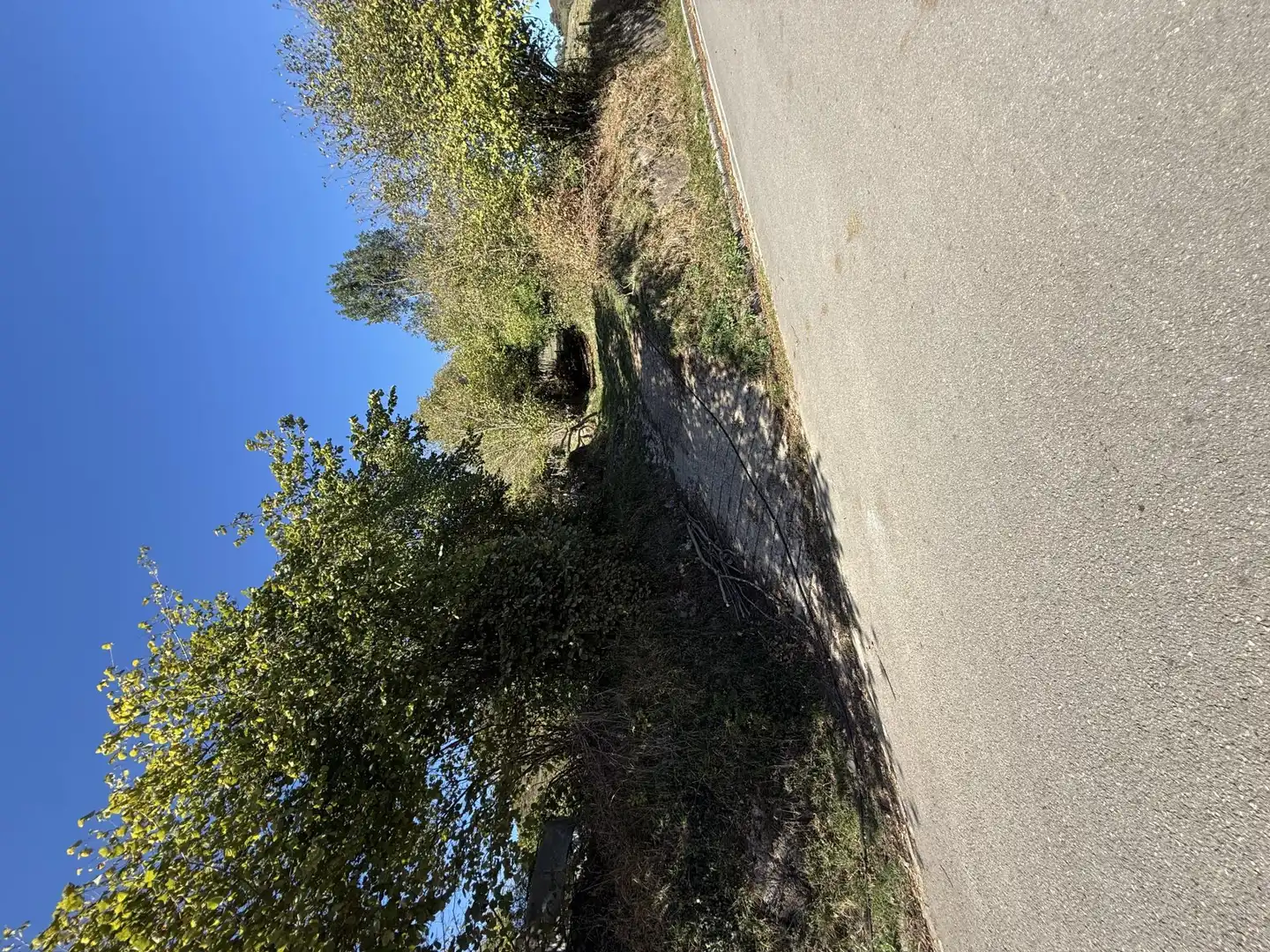 Finca rústica en venta en Proaza