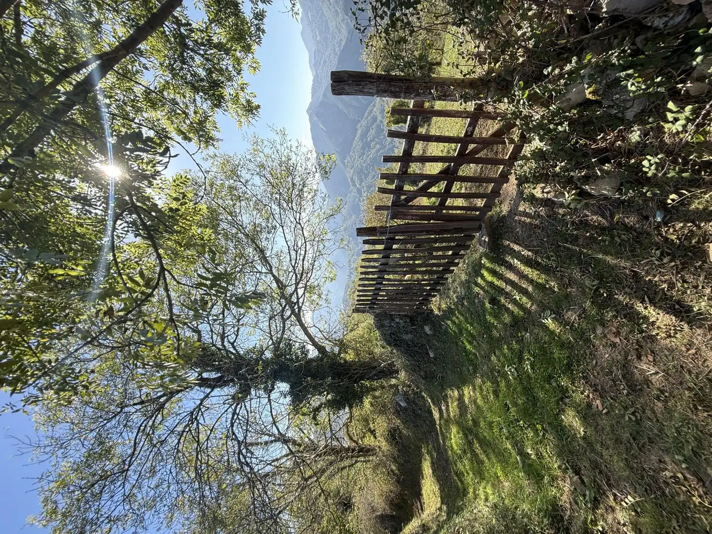 Jardín de Finca rústica en venta en Proaza
