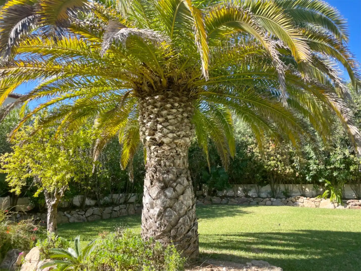 Houses for sale in Calle Lago Ginebra, 10, Partides comunes - Adsubia Garden of Houses for sale in Jávea / Xàbia with Air Conditioner, Heating and Private garden