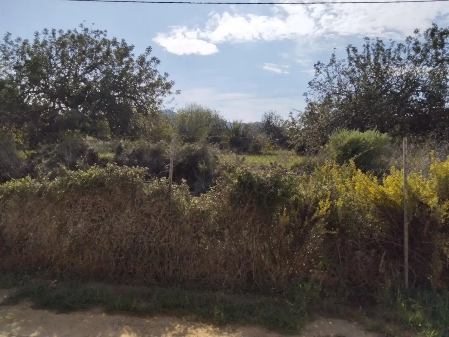 Land for sale in Paraje los Chaparros, 7, Playa Honda - Playa Paraíso Land for sale in Cartagena