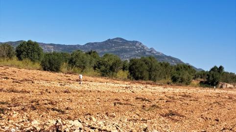 Apartment to rent in Carrer de L'ham, 24, Costa Norte, Castellón - image 5 Photo 5 of Apartment to rent in Carrer de L'ham, 24, Costa Norte, Castellón