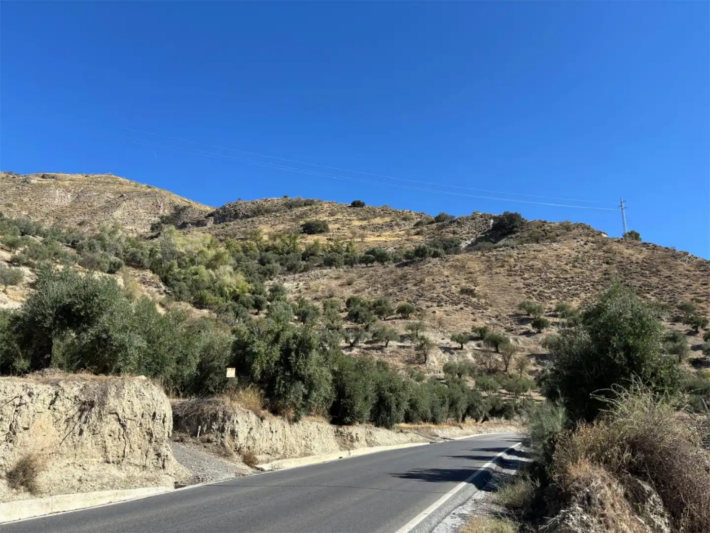 Vista exterior de Terreno en venta en Pinos Genil