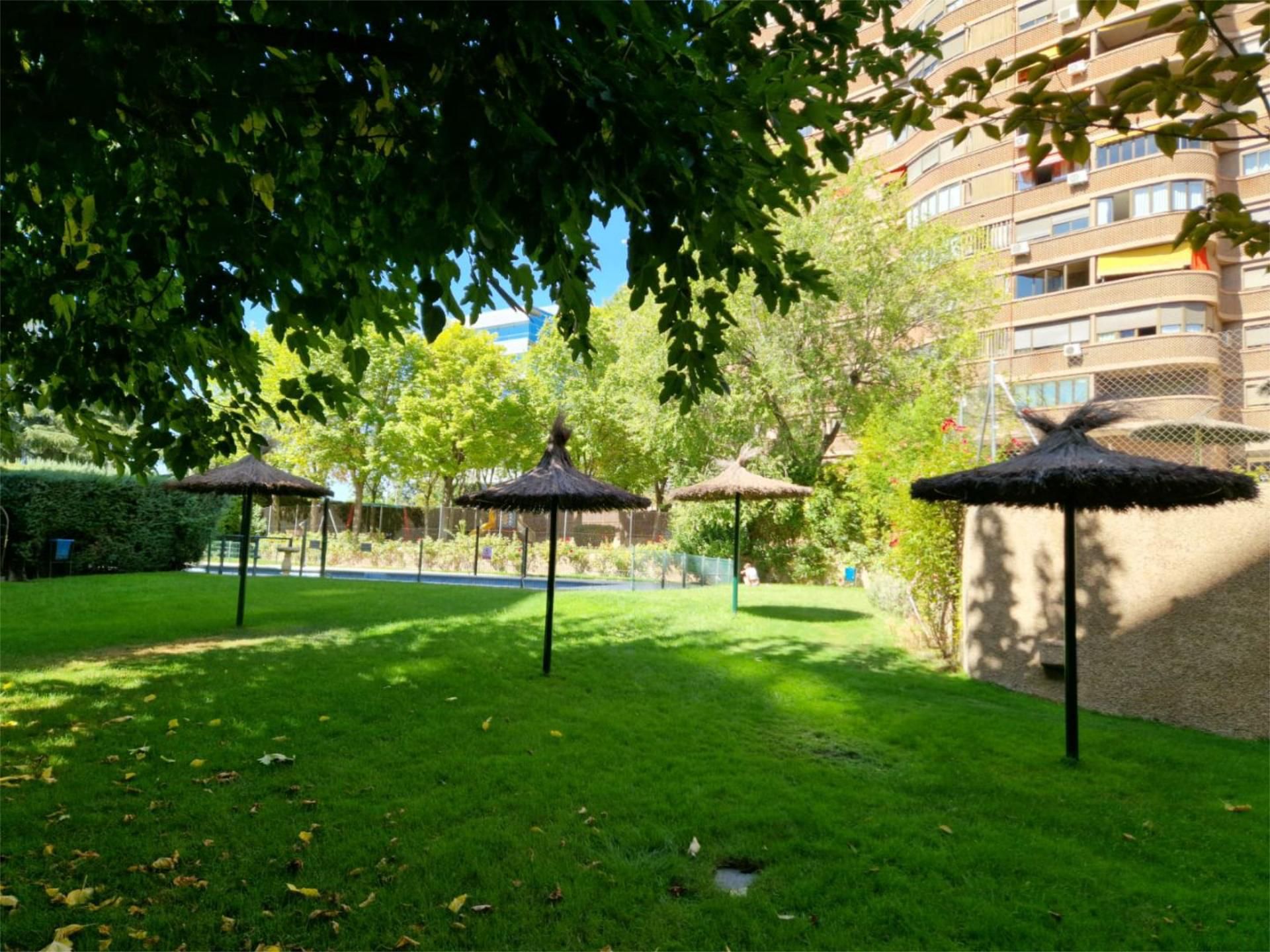 Jardí de Pis en venda en  Madrid Capital amb Aire condicionat i Piscina
