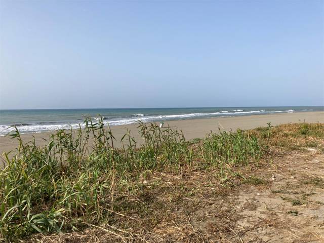 Apartamento en Alquiler en Calle Paraiso del Sol, 17 en Benajarafe