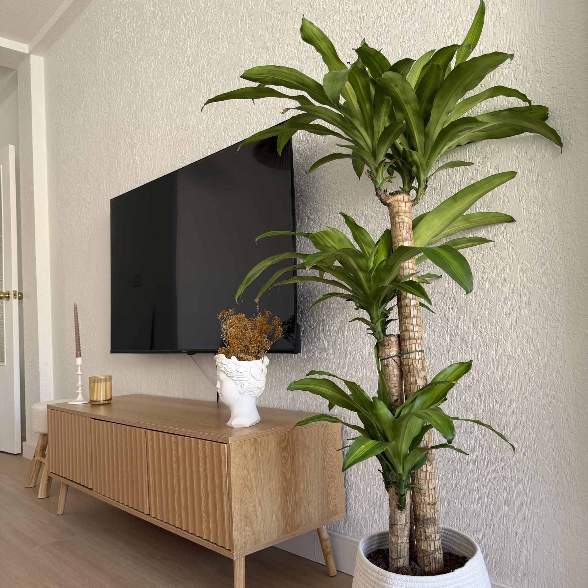 Living room of Flat to rent in Las Torres de Cotillas  with Air Conditioner, Heating and Parquet flooring