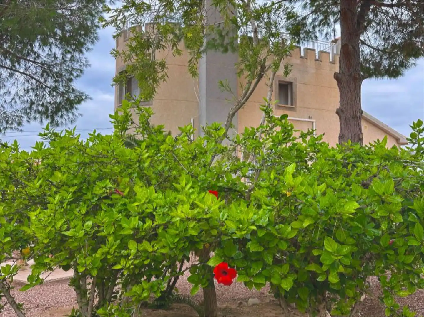 Casa o chalet en venta en Calle Barranco, 9, Rojales Jardín de Casa o chalet en venta en Rojales con Aire acondicionado, Calefacción y Jardín privado